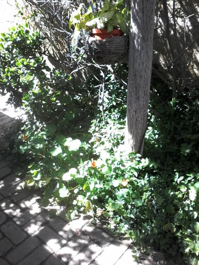Self Catering Unit 6, Sandbaai Hermanus Esterno foto